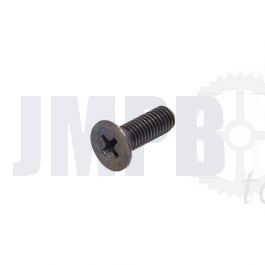 Schraube Zündung Grundplatte Yamaha FS1/DT