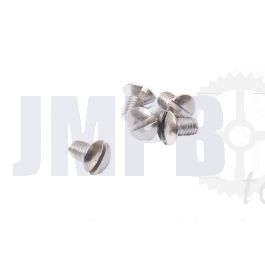 Linsenschraube M6X10 Edelstahl Din 964