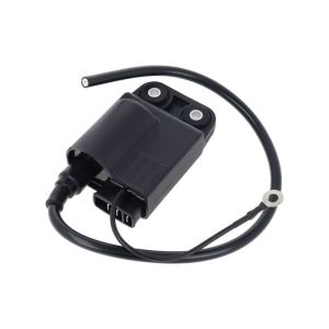 Zündspule/CDI ELEKTRONISCHE Citta-Ciao