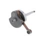 Kurbelwelle TR Vespa Standard Kobo 10