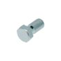 Banjobolzen Bremse M10X1 AJP 21MM