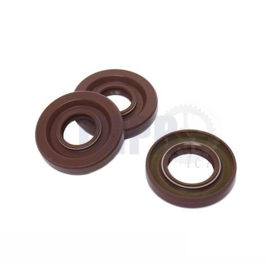 Simmeringsatz Puch Maxi Viton Altes Type