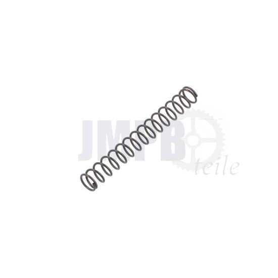 Tickler Feder Bing 20MM