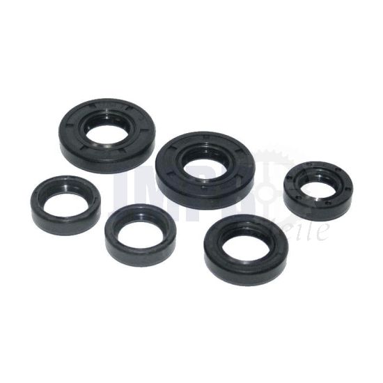 Simmeringsatz Komplett Puch 2/3 Fußschaltung