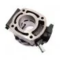 90CC (110) Zylinder Malossi Honda MBX/MTX-R