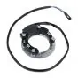 PVL Stator Puch Maxi