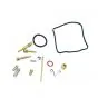 Vergaser Revison Satz 24MM Mokini