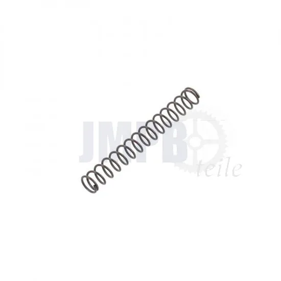 Tickler Feder Bing 20MM