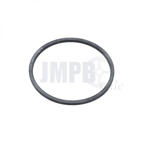 Schwimmer Dichtung Bing 10-12-15-17MM Viton