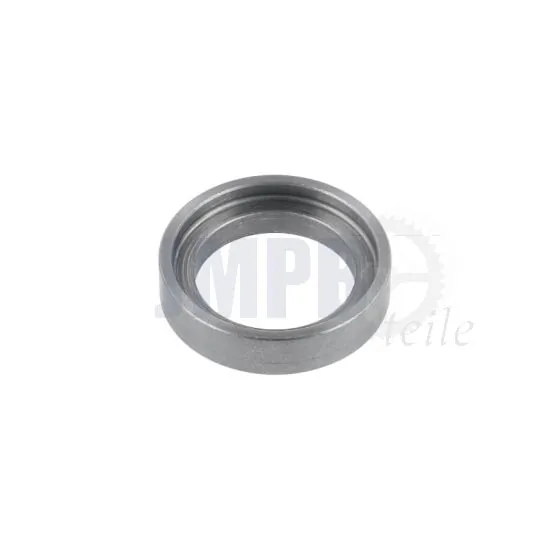 Fixierplatte Motorblockgummi Sachs