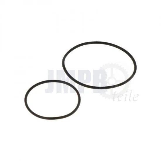O-Ringsatz Puch Maxi Polini Ansaugstutzen Satz 15/19MM