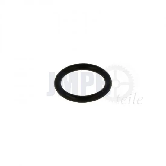 O-Ring Rotierende einlass FS1 22MM